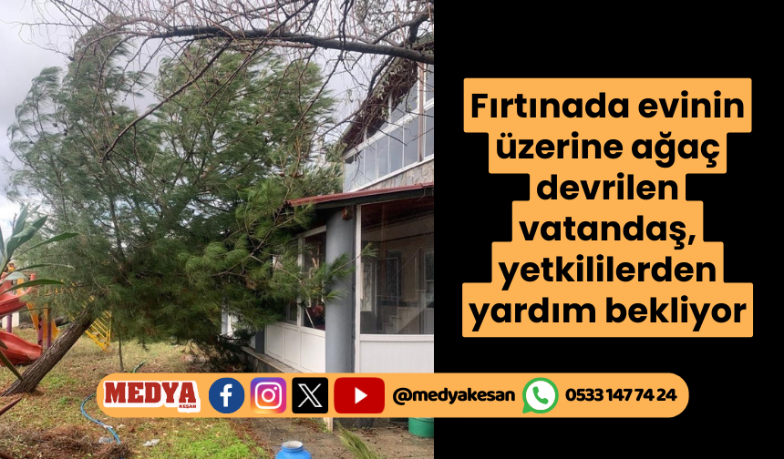 Fırtınada evinin üzerine ağaç devrilen vatandaş, yetkililerden yardım bekliyor