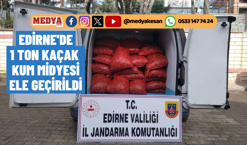 Edirne'de 1 ton kaçak kum midyesi ele geçirildi