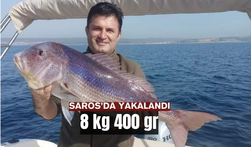 Yayla Köyü Su Ürünleri Kooperatif Başkanı Bayraktar: - MEDYA KEŞAN
