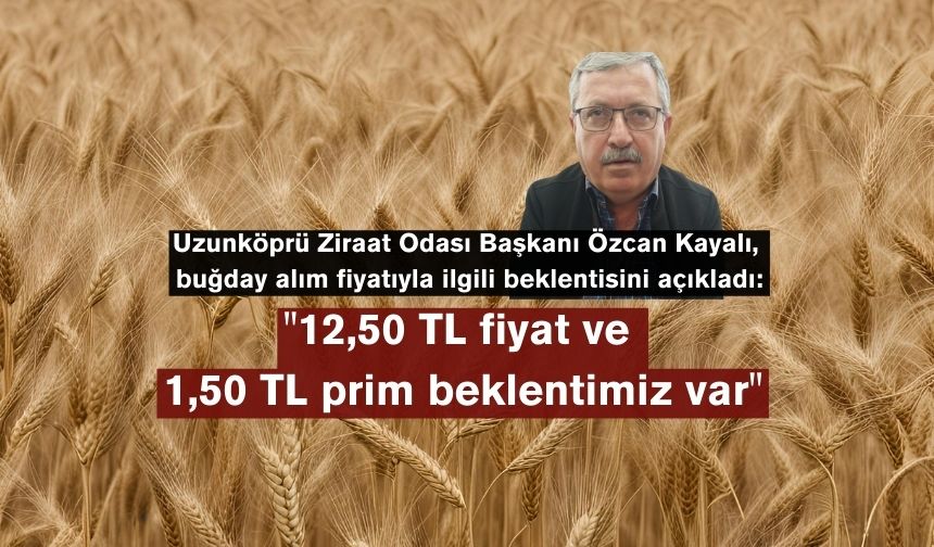 Özcan Kayalı, buğday alım fiyatıyla ilgili beklentisini açıkladı
