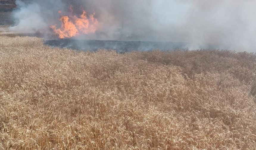 Enez'de 20 dönümlü buğday tarlası yandı
