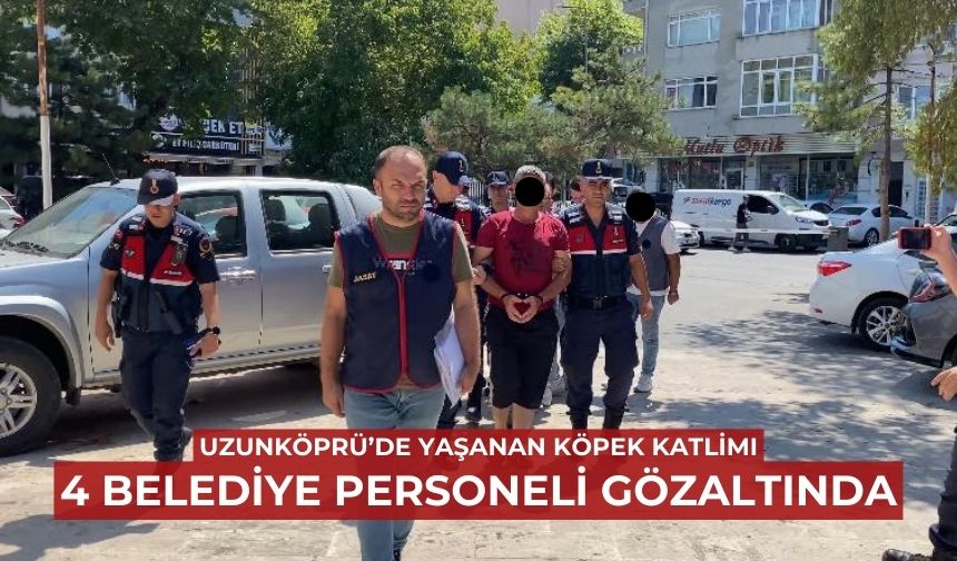 Uzunköprü'deki köpek ölümleri ile ilgili 4 belediye personeli gözaltına alındı