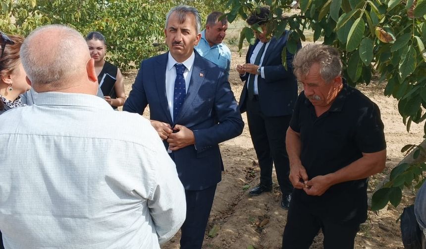 Vali Yunus Sezer, Kurtbey’de İsmail Taşdelen’in ceviz hasadına katıldı