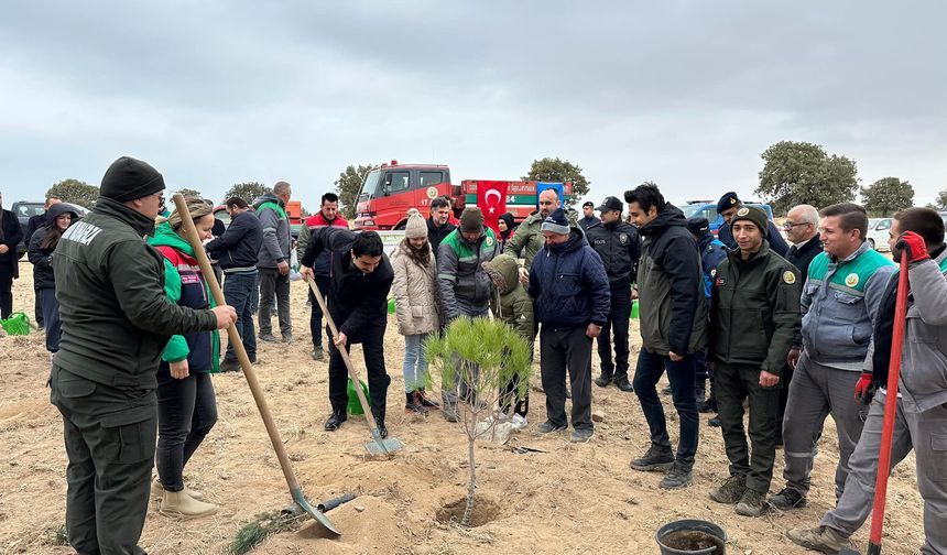 Sutaniçe'de fidan dikimi yapıldı