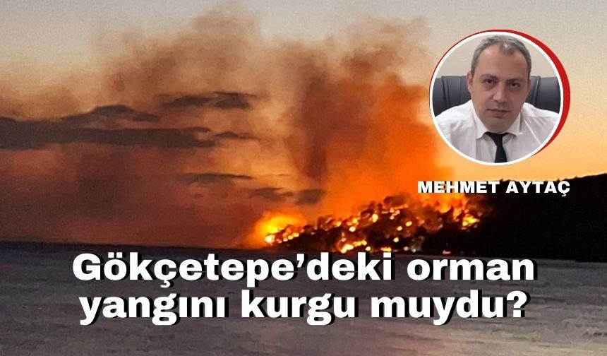 Gökçetepe’deki orman yangını kurgu muydu?