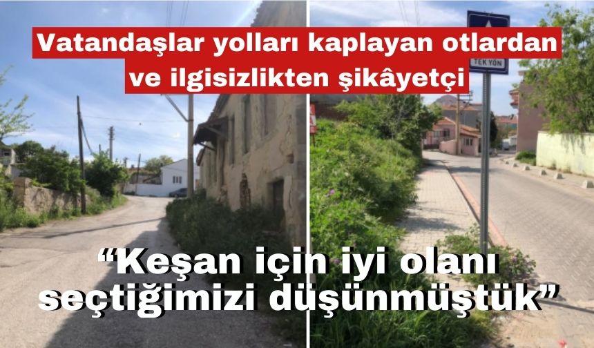 Vatandaşlar yolları kaplayan otlardan ve ilgisizlikten şikâyetçi