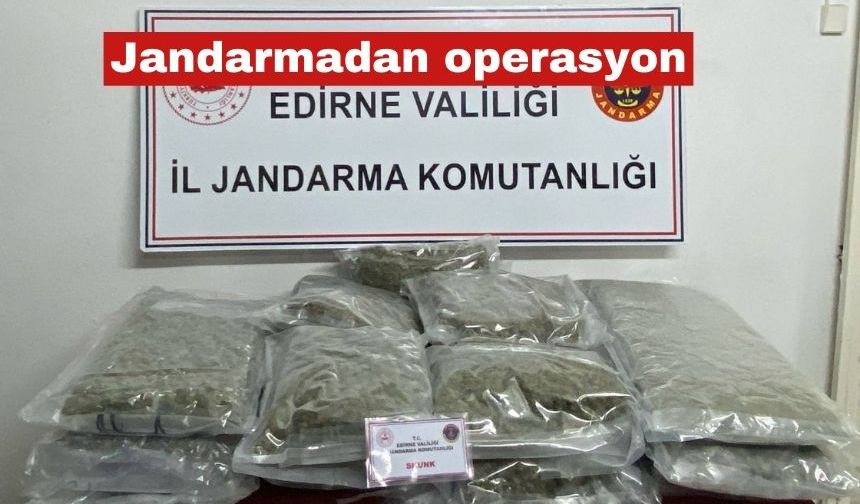 Edirne'de Jandarmadan Skunk operasyonu