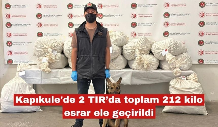 Kapıkule'de 2 TIR’da toplam 212 kilo esrar ele geçirildi