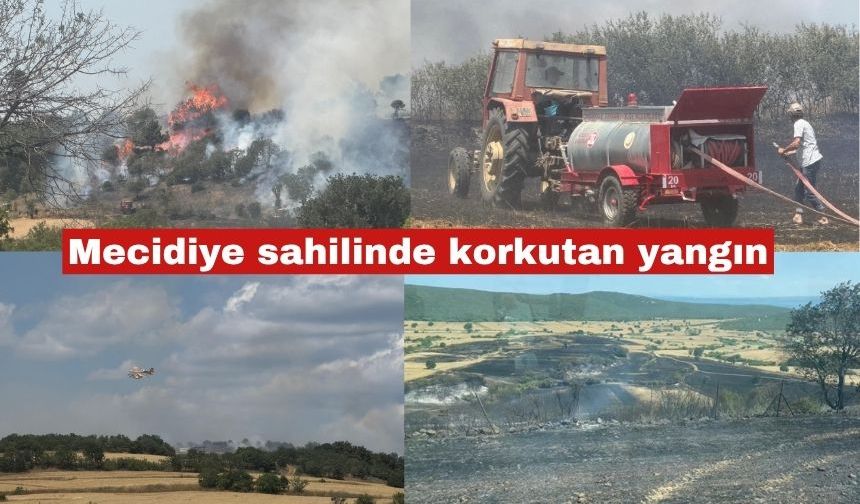 Mecidiye sahili yakınlarındaki yangın kontrol altına alındı