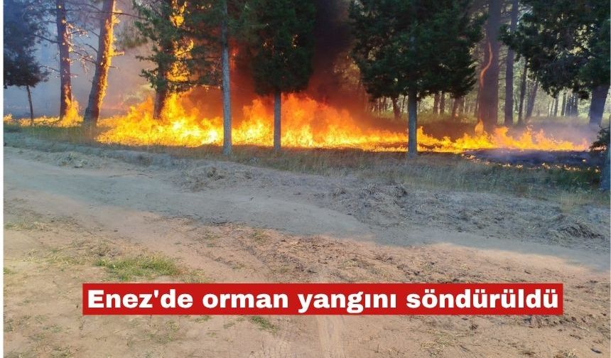 Enez'de orman yangını söndürüldü