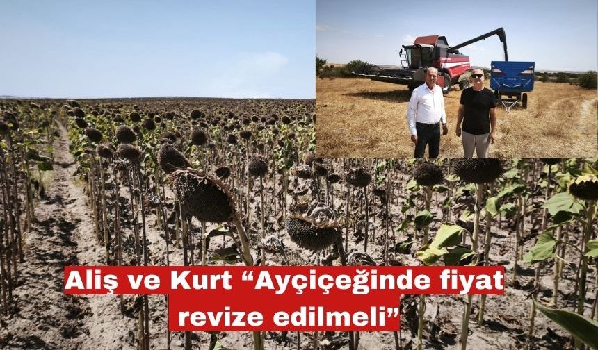 Aliş ve Kurt “Ayçiçeğinde fiyat revize edilmeli”
