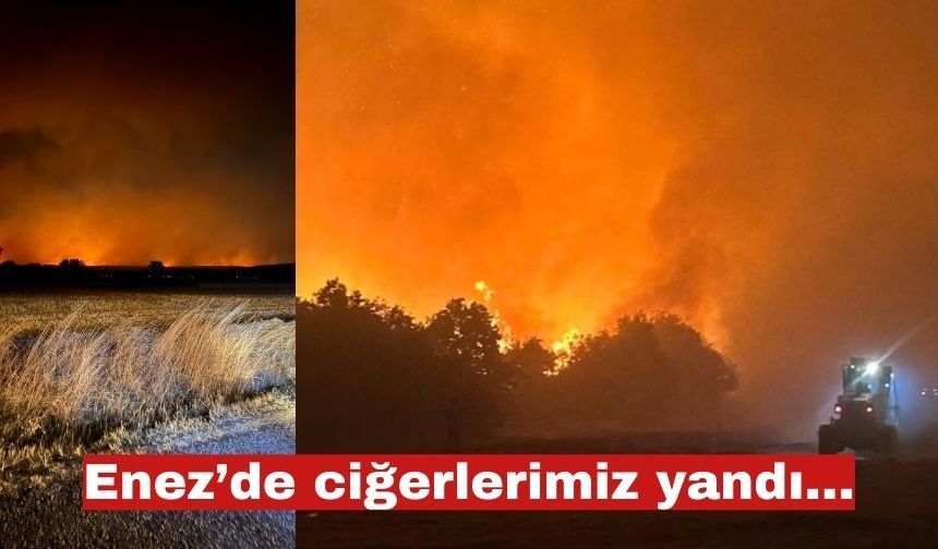 Enez’de ciğerlerimiz yandı…Yangın kontrol edildi