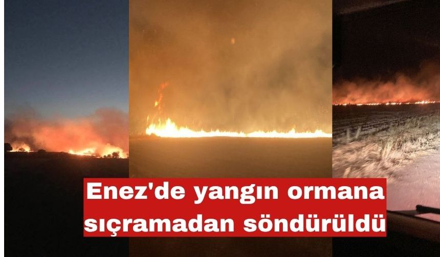 Enez'de yangın ormana sıçramadan söndürüldü