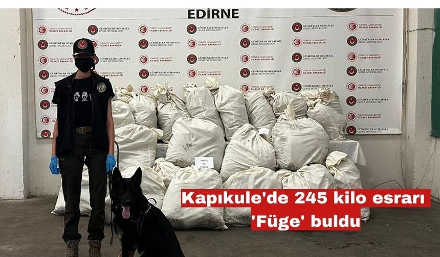 Kapıkule'de 245 kilo esrarı 'Füge' buldu