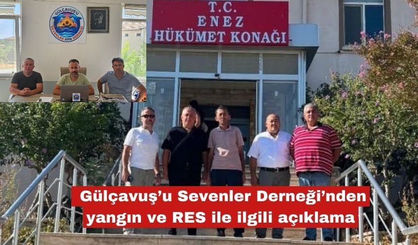 Gülçavuş’tan yangın ve RES ile ilgili açıklama