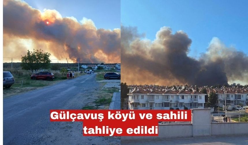 Enez'de orman yangını hala devam ediyor