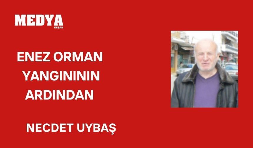 Enez orman yangınının ardından aklıma düşenler