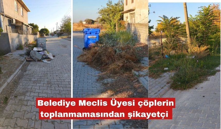 Belediye Meclis Üyesi çöplerin toplanmamasından şikayetçi