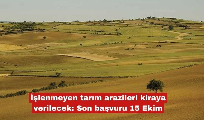 İşlenmeyen tarım arazileri kiraya verilecek
