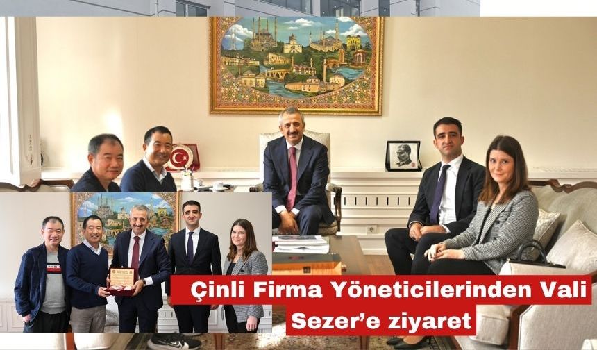 Çinli Firma Yöneticilerinden Vali Sezer’e ziyaret