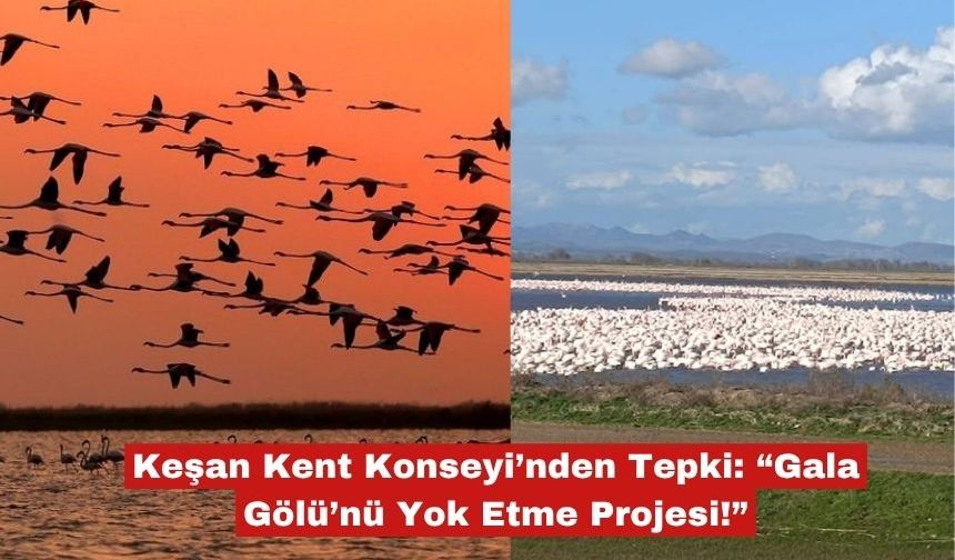 Keşan Kent Konseyi'nden "Gala Gölü'ne kıymayın"