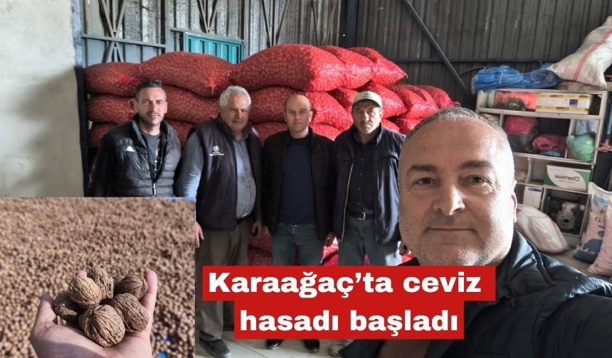 İpsala Karaağaç’ta ceviz hasadı başladı