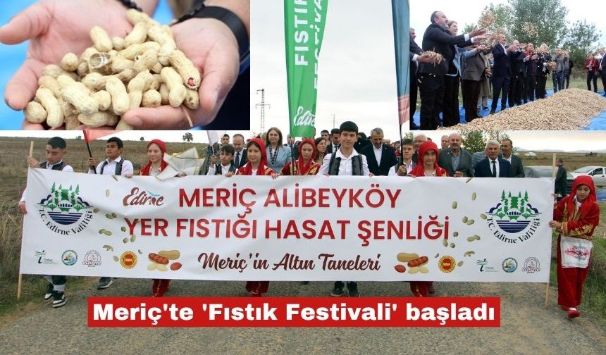 Meriç'te 'Fıstık Festivali' başladı