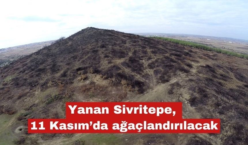 Keşan’da yangında zarar gören orman alanı ağaçlandırılacak