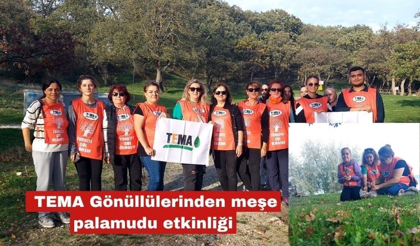 TEMA Gönüllülerinden meşe palamudu etkinliği