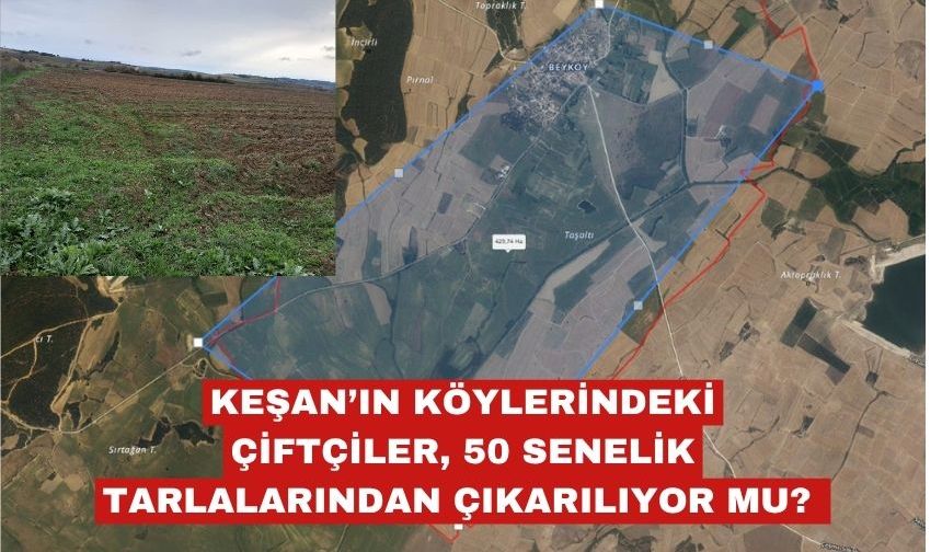 50 SENELİK TARLALARINDAN ÇIKARILIYOR MU?