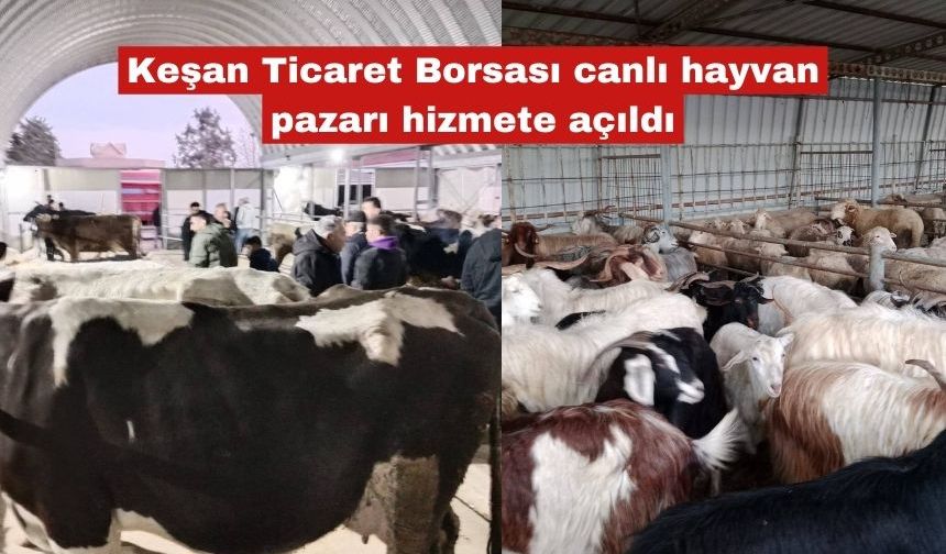 Canlı hayvan borsası açıldı