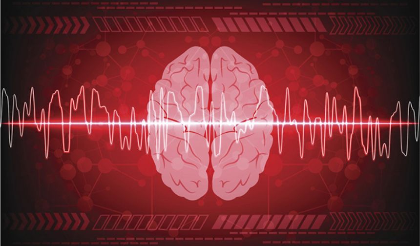 Ölüm anında beyin aktivitesi ilk kez görüntülendi