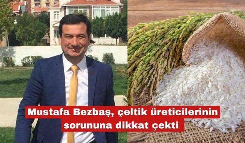 Bezbaş, çeltik üreticilerinin sorunlarını gündeme taşıdı