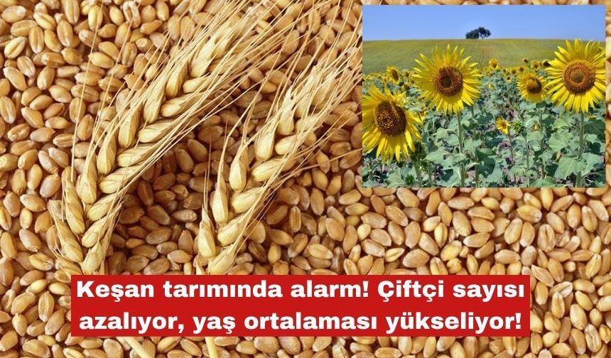 Keşan tarımında ÇKS alarmı SOS veriyor