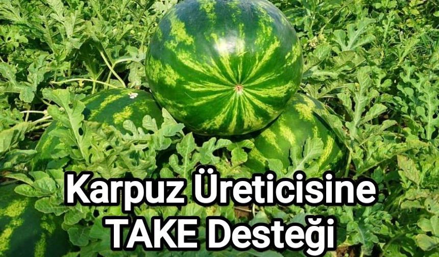 Edirne’de karpuz üretimine %50 Hibe