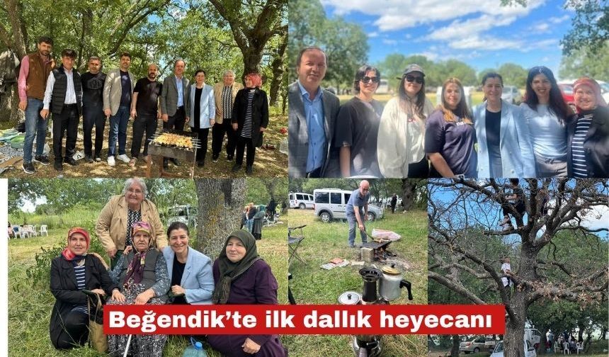 Gülver: "Geleneksel hale getireceğiz"