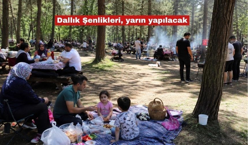 Dallık Şenlikleri, yarın yapılacak