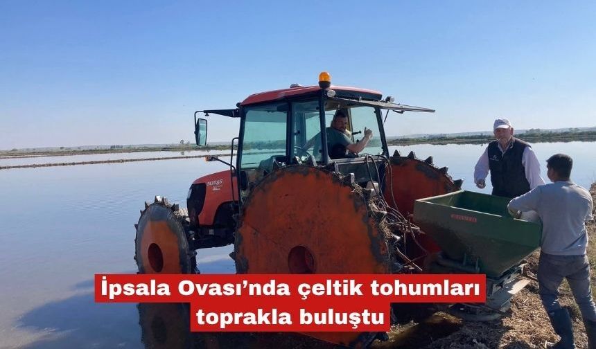 İpsala Ovası’nda çeltik tohumları toprakla buluştu