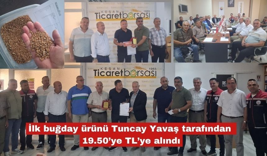 İlk buğday Tuncay Yavaş tarafından 19.50’ye TL’ye alındı