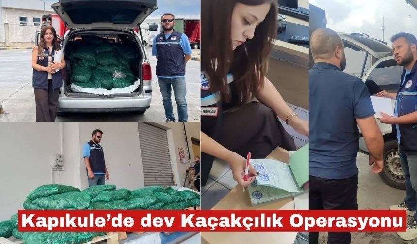 Kapıkule’de dev Kaçakçılık Operasyonu