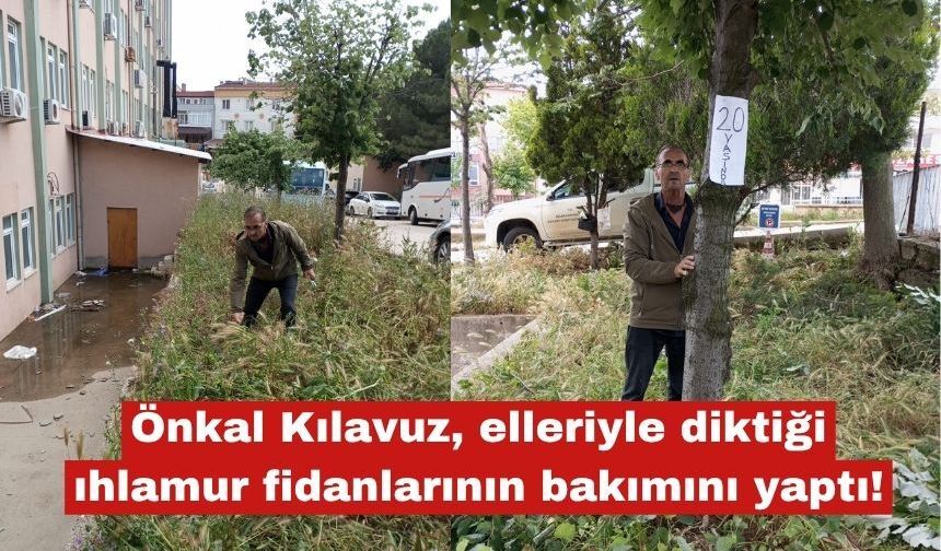 "Elleriyle diktiği ıhlamur fidanlarının bakımını yaptı"