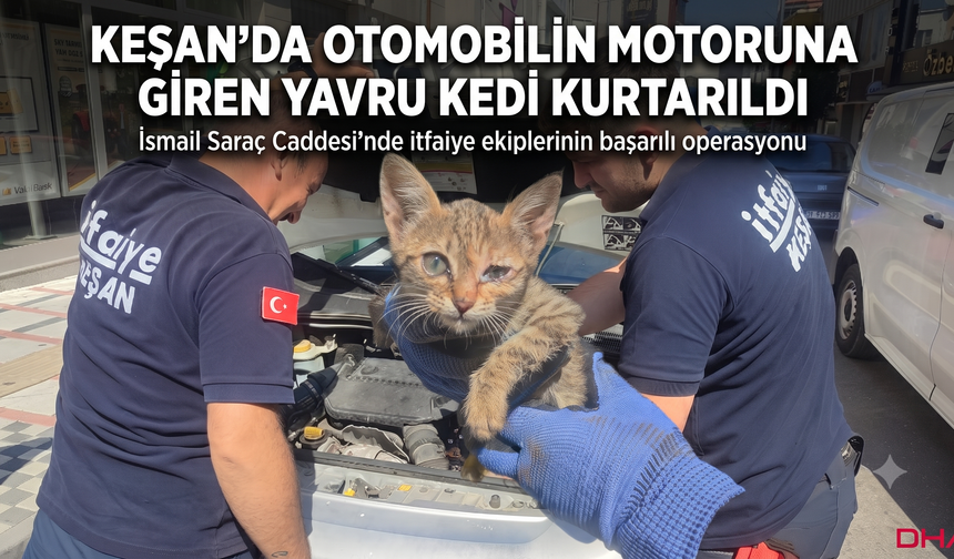 Keşan’da otomobilin motoruna giren yavru kedi kurtarıldı