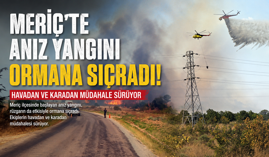 Meriç’te anız yangını ormana sıçradı