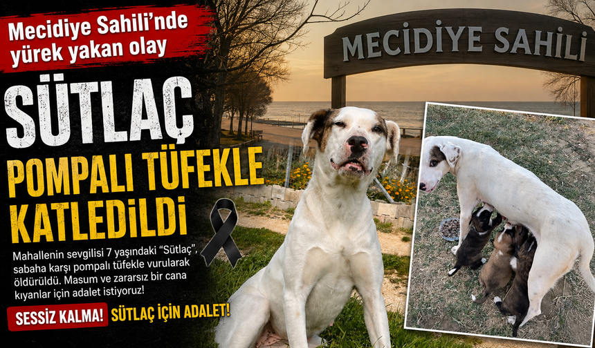 Gazetemizin haberi gündem yarattı