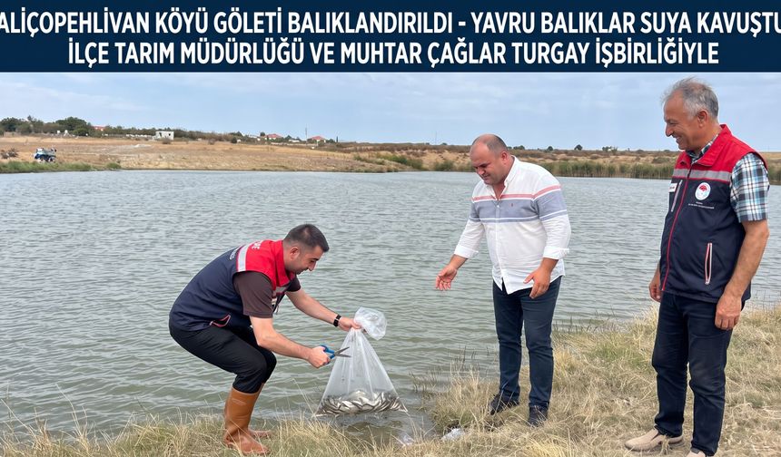 Aliçopehlivan Köyü Göleti canlandı