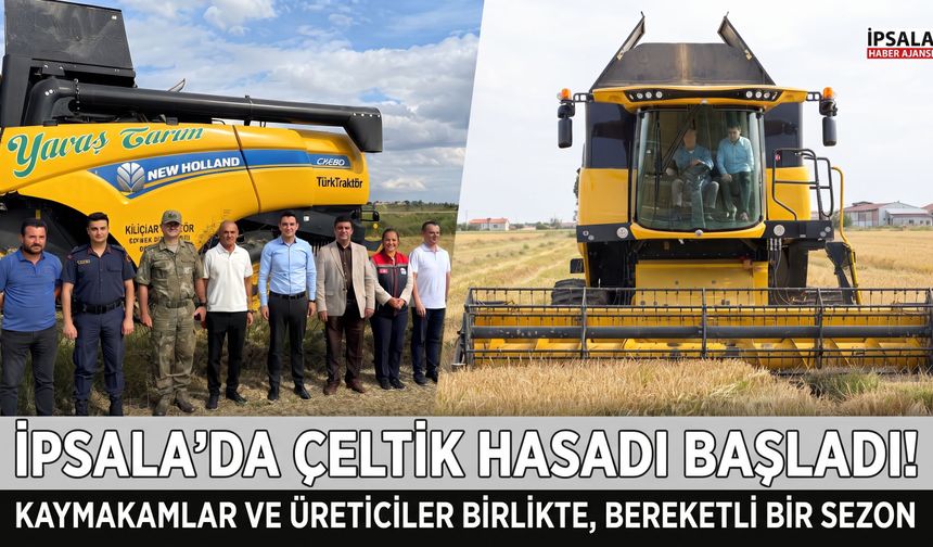 İpsala'da çeltik hasadı heyecanı başladı