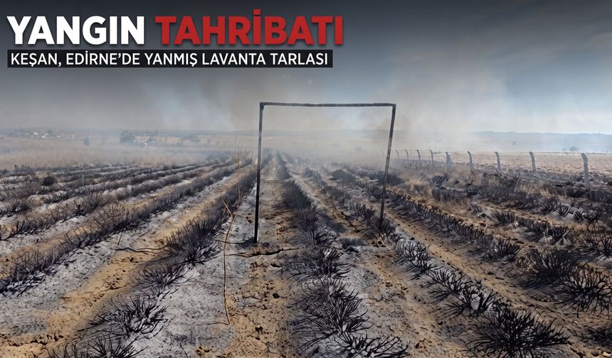 Keşan'da Lavanta tarlasında yangın