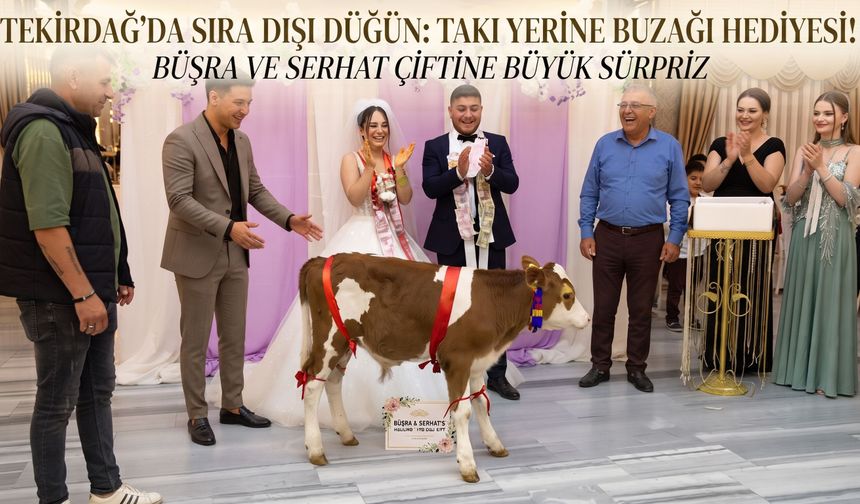 Düğünde gelin ve damada takı yerine buzağı hediye edildi