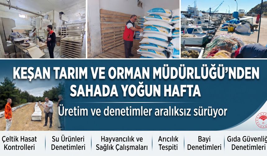 Keşan Tarım ve Orman Müdürlüğü'nden sahada yoğun hafta
