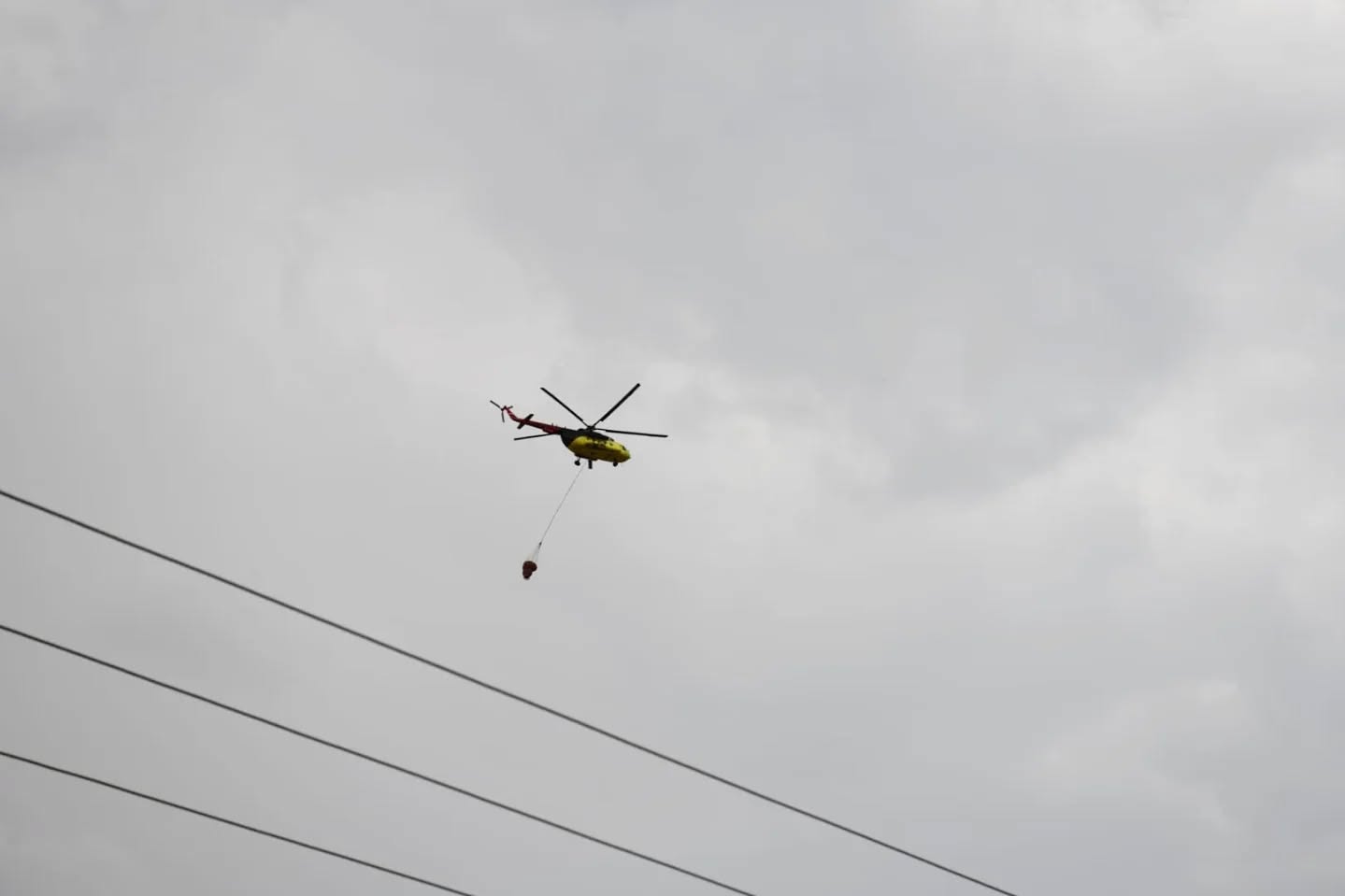 527346103 18136751272425071 1300048739283996095 N